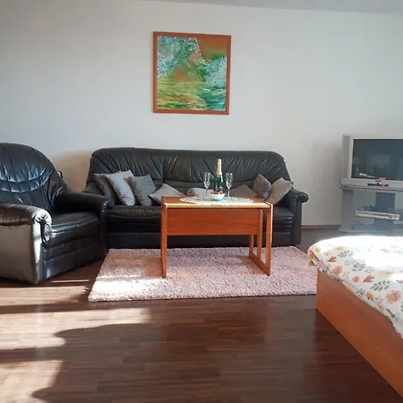 Проживание в семье Apartman 